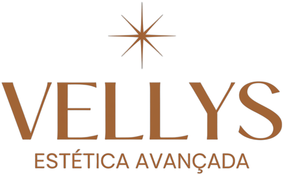 Logo Vellys